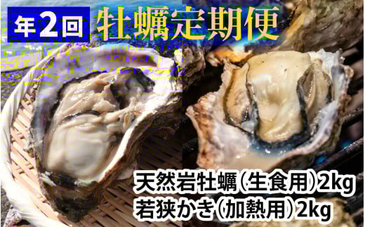 yցzyN2zዷ̓VR≲yiHpjƎዷluh ዷiMpj2kg×2 v4kg  yzsnFkCEEz  [BFAO014]䌧ls20000ECYL