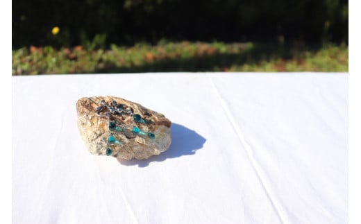 OBAMA Blue CO@() ls / KXH[ KEiS[BFAW019]䌧ls19000ߗށEiEH|iANZT[