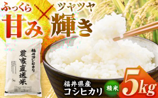 y s\ /9ȍ~zyߘa7NYz 䌧YЂ  5kgirj[܁j ls / V}__ [BFAV001]䌧ls20000āEp