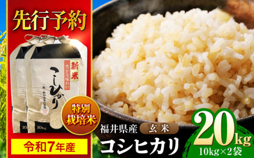 y s\ /9{ȍ~z@yߘa7NYz 䌧Y ʍ͔|4 RVqJ  10kg×2 i20kgj /   Y / ls / k씎i [BFDG003]䌧ls44000āEp