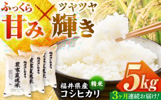 y3z ys\/9ȍ~z@yߘa7NYz 䌧YЂ  5kg ls / V}__ [BFAV010]䌧ls60000āEp