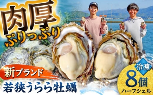 yNzzys\/10{菇z ዷ牲y n[tVF 8 H /  JL CN ls / lCY yzsnFkCEEz [BFAA099]䌧l