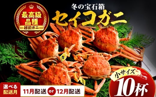 yNzzys\z y12zz ZCRKjiYCKj̃Xj TCY 10t  ls / ܂ُX yzsnFkCEEz[BFCS016-12]䌧ls26000ECY