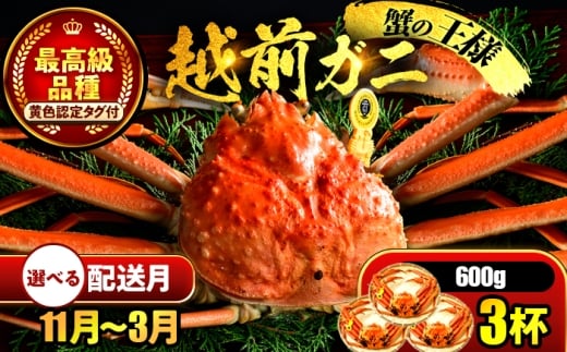 yNzzys\z y1zz zO 600×3t ls / ܂ُX yzsnFkCEEz[BFCS020-1]䌧ls160000ECYJj