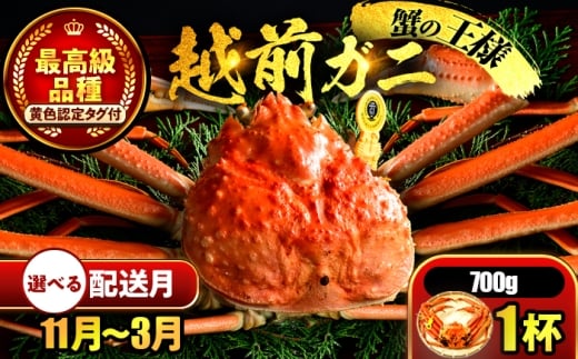 yNzzys\z y12zz zO 700×1t ls / ܂ُX yzsnFkCEEz[BFCS021-12]䌧ls80000ECYJj