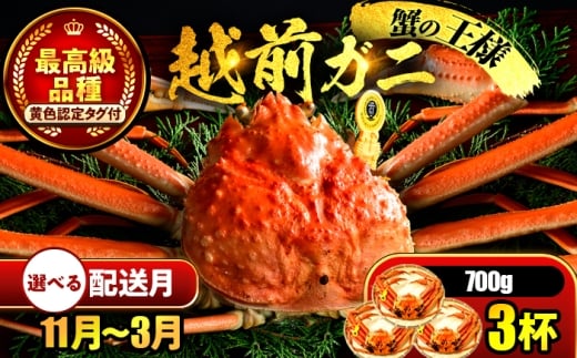 yNzzys\z y3zz zO 700×3t ls / ܂ُX yzsnFkCEEz[BFCS023-3]䌧ls210000ECYJj