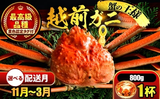 yNzzys\z y3zz zO 800×1t ls / ܂ُX yzsnFkCEEz[BFCS024-3]䌧ls90000ECYJj