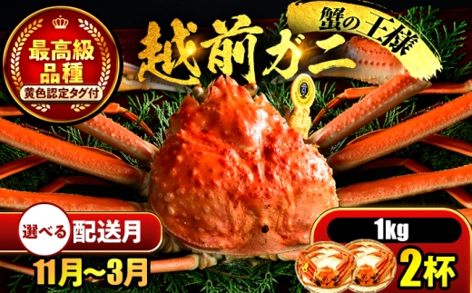 yNzzys\z y12zz zO 1kg×2t ls / ܂ُX yzsnFkCEEz[BFCS031-12]䌧ls230000ECYJj