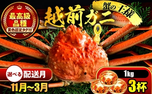 yNzzys\z y2zz zO 1kg×3t ls / ܂ُX yzsnFkCEEz[BFCS032-2]䌧ls320000ECYJj