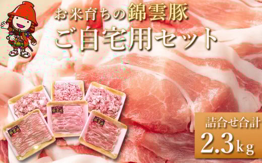 お米育ちの錦雲豚 ご自宅用 合計2.3kg セット | ロース バラ肉 肩ロース もも うで ミンチ ブランド豚 九州産 大分県産 国産 冷凍 大分県中津市19000肉豚肉