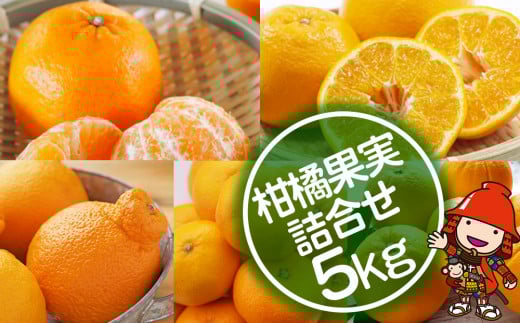 【期間限定】おはら果樹園果実詰め合わせ 約5kg | フルーツ 果物 くだもの 果実 柑橘 柑橘類 セット 詰め合わせ ( みかん ポンカン はるみ 不知火 等) おはら果樹園 国産 産地直送 大分県 中津