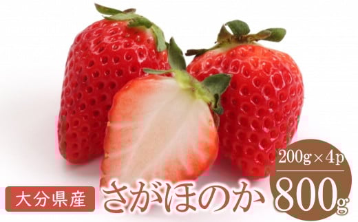 啪Y ق̂  800g ( 200g×4pbN ) |  C`S  x[ t[c ʕ  BY 啪Y Y Yn 啪 Îs啪Îs10000ʕEt[c