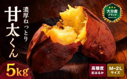大分県産 かんしょ 甘太くん 約 5kg  M・L・2L | さつまいも さつま芋 サツマイモ 芋 いも 紅はるか べにはるか 焼き芋 おやつ ブランド 九州産 国産 大分県 中津市大分県中津市12000野菜・きの