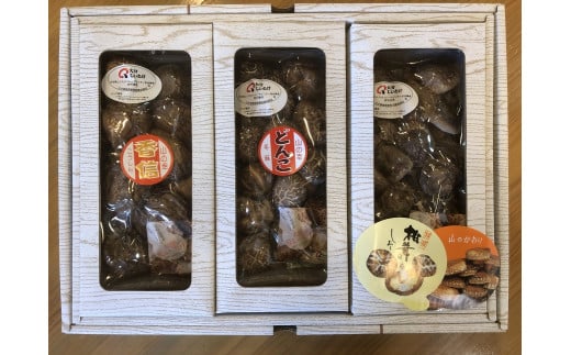 啪Y  ő HהA ǂ񂱒ő80g M50g ő50g  | ő ؒő  VC^P 啪Y BY Îs Y 啪Îs13000E