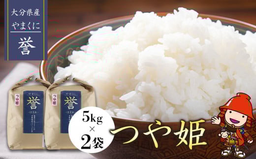 y񕍎grzBāEHRN[ŗDG܎ 啪ÎsY ܂ɗ_ P 5kg×2 |       10kg 10L  BY Y Y 啪 B 啪