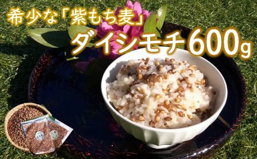 山々と源流の山国町「nakano麦園」の希少な『紫もち麦』ダイシモチ300g×2袋 | 600g 600グラム 紫もち麦 もち麦 麦 ダイシモチ 紫麦 雑穀 穀物 希少 国産 麦ご飯 大分県 中津市大分県中津市7000米