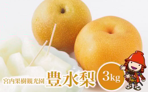 【先行予約】【数量限定】 宮内果樹観光園の豊水梨 約3kg | フルーツ 果物 くだもの 梨 なし ナシ 豊水 豊水梨 産地直送 大分県 中津市大分県中津市16000果物・フルーツりんご・梨