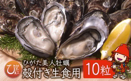 【数量限定】【CAS凍結】ひがた美人殻付き10粒 | 牡蠣 国産 ひがた美人 生食可 生牡蠣 ブランド牡蠣 カキ かき 海鮮 海 海の幸 大分県 中津市大分県中津市8000魚介・海産物貝類