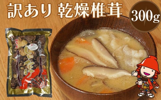 乾燥椎茸 訳あり 椎茸 300g | 乾しいたけ 干し椎茸 干ししいたけ 乾燥しいたけ 干しシイタケ 原木 大分県産 九州産 中津市 国産 大分県中津市14000野菜・きのこきのこ