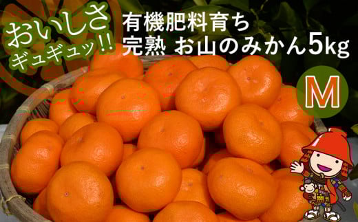 【先行予約】【数量限定】大久保農場の有機肥料育ち完熟  お山のみかん 5kg(M)+3個 (傷み補償分) | フルーツ 果物 くだもの 蜜柑 ミカン みかん 柑橘 柑橘類 温州みかん 産地直送 国産 大分県