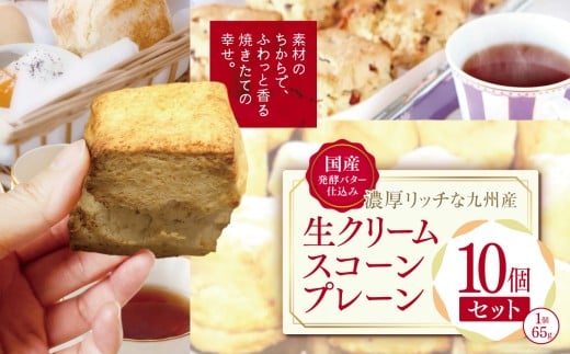 Yyo^[dݔZb`ȋBYN[XR[ v[10Zbg | َq َq  mَq Ăَq CMXَq v[XR[  fU[g XC[c 