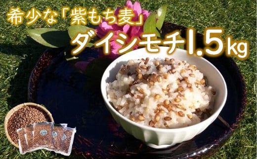 山々と源流の山国町「nakano麦園」の希少な『紫もち麦』ダイシモチ300g×5袋 |  紫もち麦 もち麦 麦 ダイシモチ 紫麦 雑穀 穀物 希少 国産 麦ご飯 1500g 1500グラム 1.5kg 1.5キロ 大分県 中津市大分