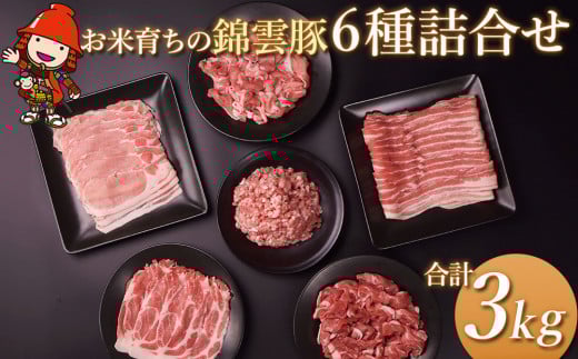 高級 ブランド 錦雲豚 たっぷり 3kg 詰め合わせ 6種 セット | お米育ちの 錦雲豚 しゃぶしゃぶ 生姜焼き 丼 バラ ロース モモ ミンチ うで 豚肉 冷凍 大分県中津市23000肉豚肉