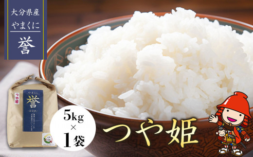 y񕍎grzBāEHRN[ŗDG܎ 啪ÎsY ܂ɗ_ P 5kg×1 |       5L  BY Y Y 啪 B 啪