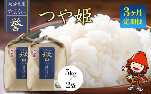 【寄附使途限定】【3ヶ月定期便】九州米・食味コンクール最優秀賞受賞 大分県中津産やまくに誉 つや姫 5kg×2袋 (毎月1回) | お米 米 おこめ こめ 精米 白米 10kg 10キロ ご飯 九州産 国産 国産