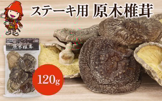 乾燥椎茸 ステーキ用 原木椎茸 80g〜120g | きのこ キノコ しいたけ シイタケ 椎茸 原木栽培 乾しいたけ 干し椎茸 干ししいたけ 乾燥しいたけ 干しシイタケ 大分県産 九州産 国産 大分県 中津