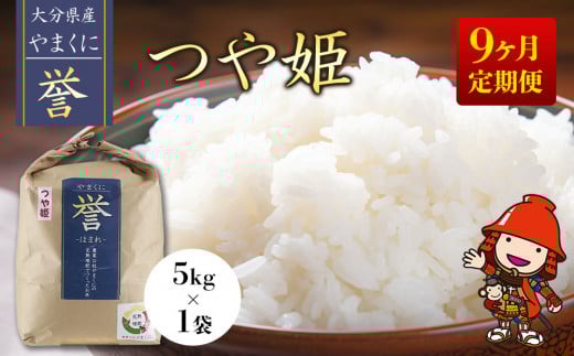 【寄附使途限定】【9ヶ月定期便】九州米・食味コンクール最優秀賞受賞 大分県中津産やまくに誉 つや姫 5kg×1袋 (毎月1回) | お米 米 おこめ こめ 精米 白米 5キロ ご飯 九州産 国産 国産米 大