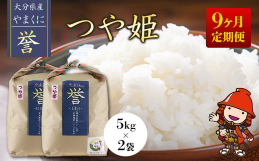 【寄附使途限定】【9ヶ月定期便】九州米・食味コンクール最優秀賞受賞 大分県中津産やまくに誉 つや姫 5kg×2袋 (毎月1回) | お米 米 おこめ こめ 精米 白米 10kg 10キロ ご飯 九州産 国産 国産