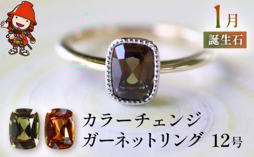 誕生石 1月 カラーチェンジガーネット 指輪 | リング 12号 レディース K18 PT900 プラチナ アクセサリー 婚約指輪 プロポーズ 結婚指輪 誕生日 婚約 結婚 母の日 プレゼント 祝 記念日 女性 贈り
