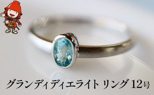 OfBfBGCg w | O 12 fB[X PT900 v`i ANZT[ w v|[Y w a   ̓ v[g j LO  蕨 啪 Îs