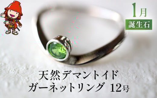 誕生石 1月 天然デマントイドガーネット 指輪 | リング 12号 レディース PT900 プラチナ アクセサリー 婚約指輪 プロポーズ 結婚指輪 誕生日 婚約 結婚 母の日 プレゼント 祝 記念日 女性 贈り