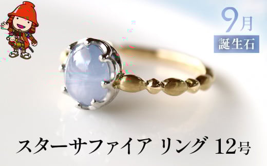 誕生石 9月 スターサファイア 指輪 | リング 12号 K18 PT900 プラチナ アクセサリー 婚約指輪 プロポーズ 結婚指輪 誕生日 婚約 結婚 母の日 プレゼント 祝 記念日 女性 贈り物 大分県 中津市大分