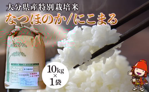 令和7年産 特別栽培米 なつほのか にこまる 10kg×1袋 | 大分県中津市三光産 栽培期間中 農薬不使用 精米 玄米 選べる 国産 お米 米 ご飯 白米 農家直送 宗像農園 大分県産 九州産 大分県 中津
