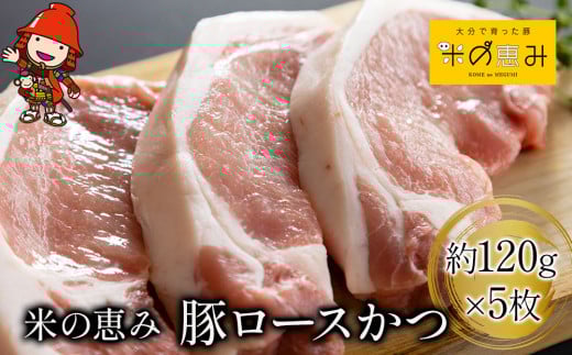 「米の恵み」 豚ロースかつ 約120g×5枚 | お肉 肉 おにく にく 豚 豚肉 ロース ブランド豚 ロースかつ とんかつ トンカツ 惣菜 おかず 冷凍 国産 大分県産 九州産 大分県 中津市大分県中津市110