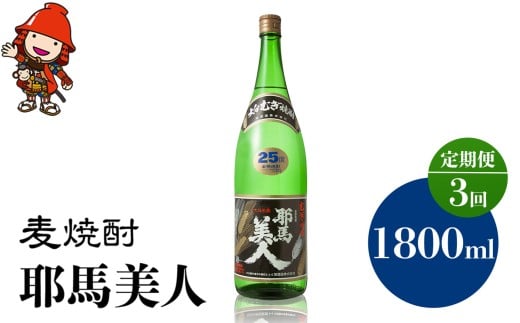 【定期便3回】 麦焼酎 耶馬美人 25度 1,800ml×1本 | 大分県中津市の地酒 地酒 麦 焼酎 酒 アルコール 大分県産 九州産 定期 定期便 大分県 中津市大分県中津市40000酒・アルコール焼酎