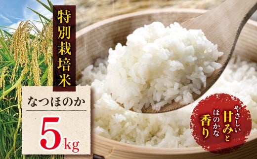 特別栽培米 なつほのか 5kg | お米 米 精米 白米 おこめ こめ ご飯 ごはん 国産米 5キロ 大分県産 九州産 大分県 中津市大分県中津市21000米・パン白米
