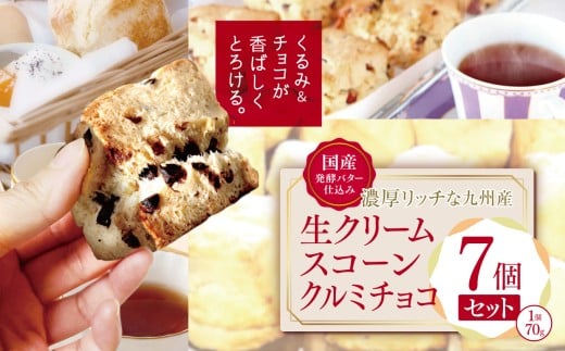 国産発酵バター仕込み濃厚リッチな九州産生クリームスコーン クルミチョコ7個セット | お菓子 菓子 おかし 洋菓子 焼き菓子 イギリス菓子 チョコスコーン クルミ おやつ デザート スイーツ