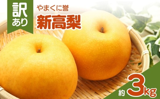 やまくに誉(新高梨) 訳あり 約 3kg | フルーツ 果物 くだもの 梨 なし ナシ 和梨 新高 3キロ 産地直送 九州産 国産 九州 大分県 中津市大分県中津市14000果物・フルーツりんご・梨