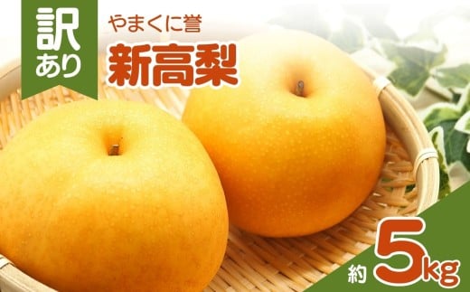 やまくに誉(新高梨) 訳あり 約 5kg | フルーツ 果物 くだもの 梨 なし ナシ 和梨 新高 5キロ 産地直送 九州産 国産 九州 大分県 中津市大分県中津市18000果物・フルーツりんご・梨