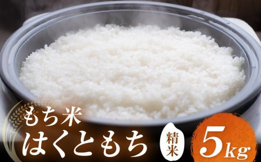 耶馬渓産もち米 5kg | お米 米 精米 おこめ こめ もち米 はくともち 餅 お餅 国産米 5キロ 大分県産 九州産 大分県 中津市大分県中津市18000米・パン玄米・雑穀米・もち米・餅