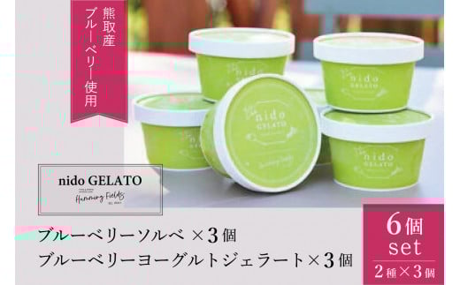 ソルベ&ジェラート「Nido GELATO」(2種 計6個)【Humming Fields】(025_5003)大阪府熊取町9000菓子・スイーツアイス・ジェラート