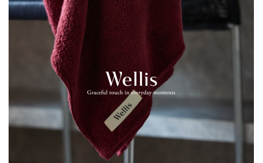 Wellis バスタオル2枚 フェイスタオル2枚  ボルドー ランドリーバッグ付き (009_5138_04)大阪府熊取町85000雑貨・日用品寝具・タオル