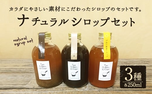 019-820 ナチュラル シロップ セット 3種 計750ml (250ml×3本)大分県豊後大野市24000お茶・飲料果汁・野菜飲料