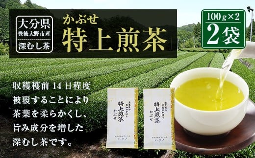 014-184 特上煎茶 かぶせ 100g×2袋 200g大分県豊後大野市12000お茶・飲料お茶