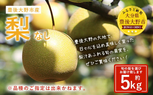 037-1053x1 【先行予約】 大分県 豊後大野市産 梨 約5kg 【2025年8月上旬〜12月上旬発送予定】大分県豊後大野市13000果物・フルーツりんご・梨