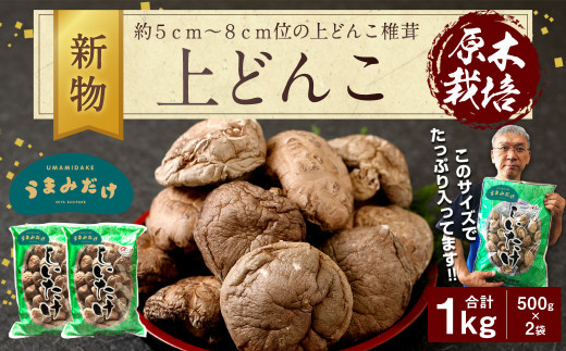 015-154x1 新物 上どんこ 1kg(500g×2袋)椎茸 うまみだけ 【2025年4月上旬以降順次発送】大分県豊後大野市47000調味料・油だし